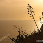 France, Corse, Bonifacio, Coucher de soleil, Contre jour, Pixanne Photographies