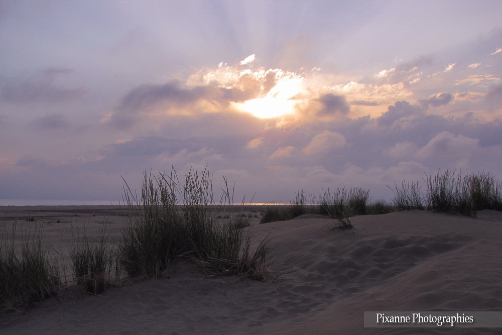 France, Occitanie, Gard, Grau du roi, Plage de l'Espiguette, Pixanne Photographies