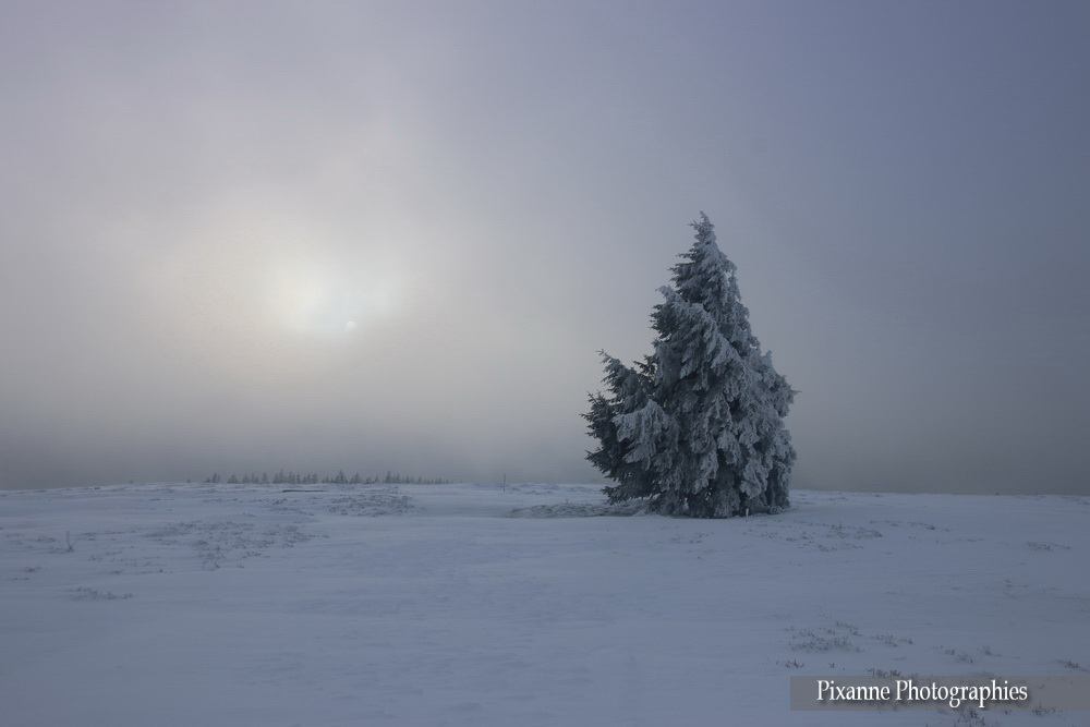 Vosges, Champ du Feu, Hiver, Pixanne Photographies