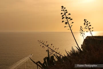 France, Corse, Bonifacio, Coucher de soleil, Contre jour, Pixanne Photographies